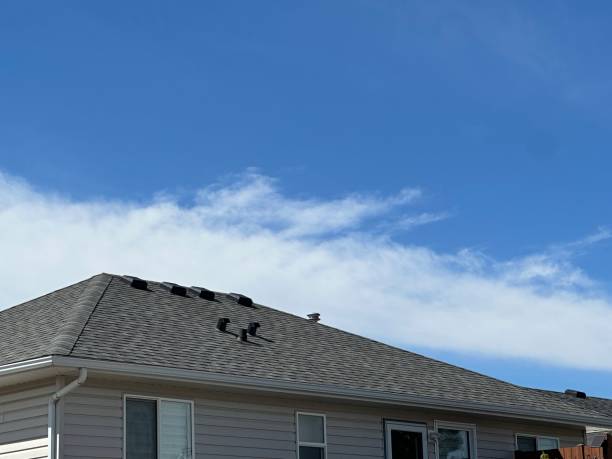 Best Hot Roofs  in Ashton Sandy Spring, MD